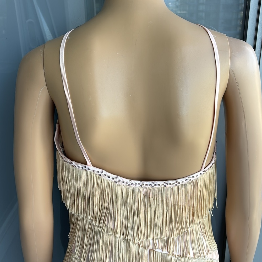 Vintage Fringe Flapper Girl Dress - Picture 8 of 15